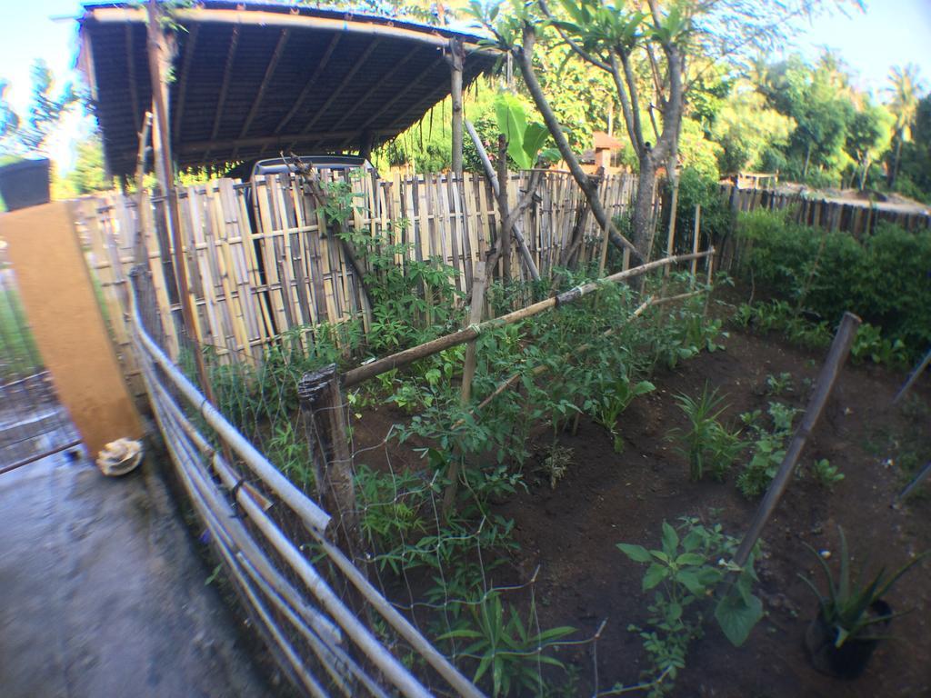 Jeges Homestay Senggigi Exterior foto